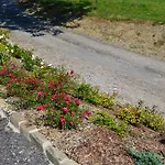Bed & Breakfast D'hotes La Trottelee